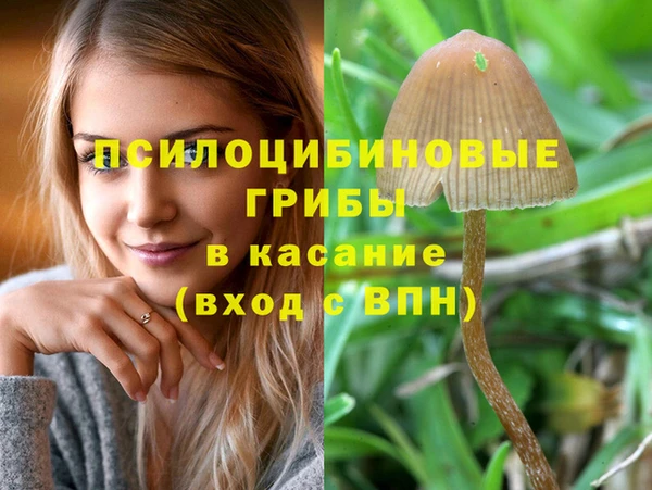 спайс Абаза