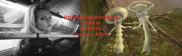 дживик Абинск
