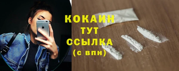 дживик Абинск