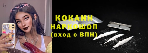 дживик Абинск