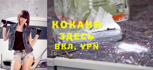 дживик Абинск